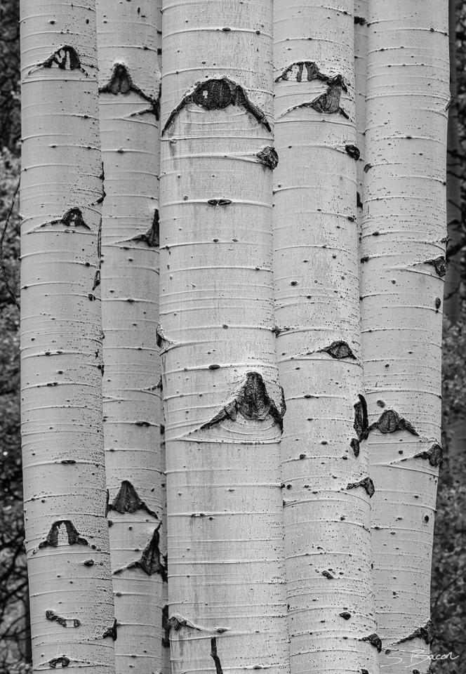 Five Stack Five Stack