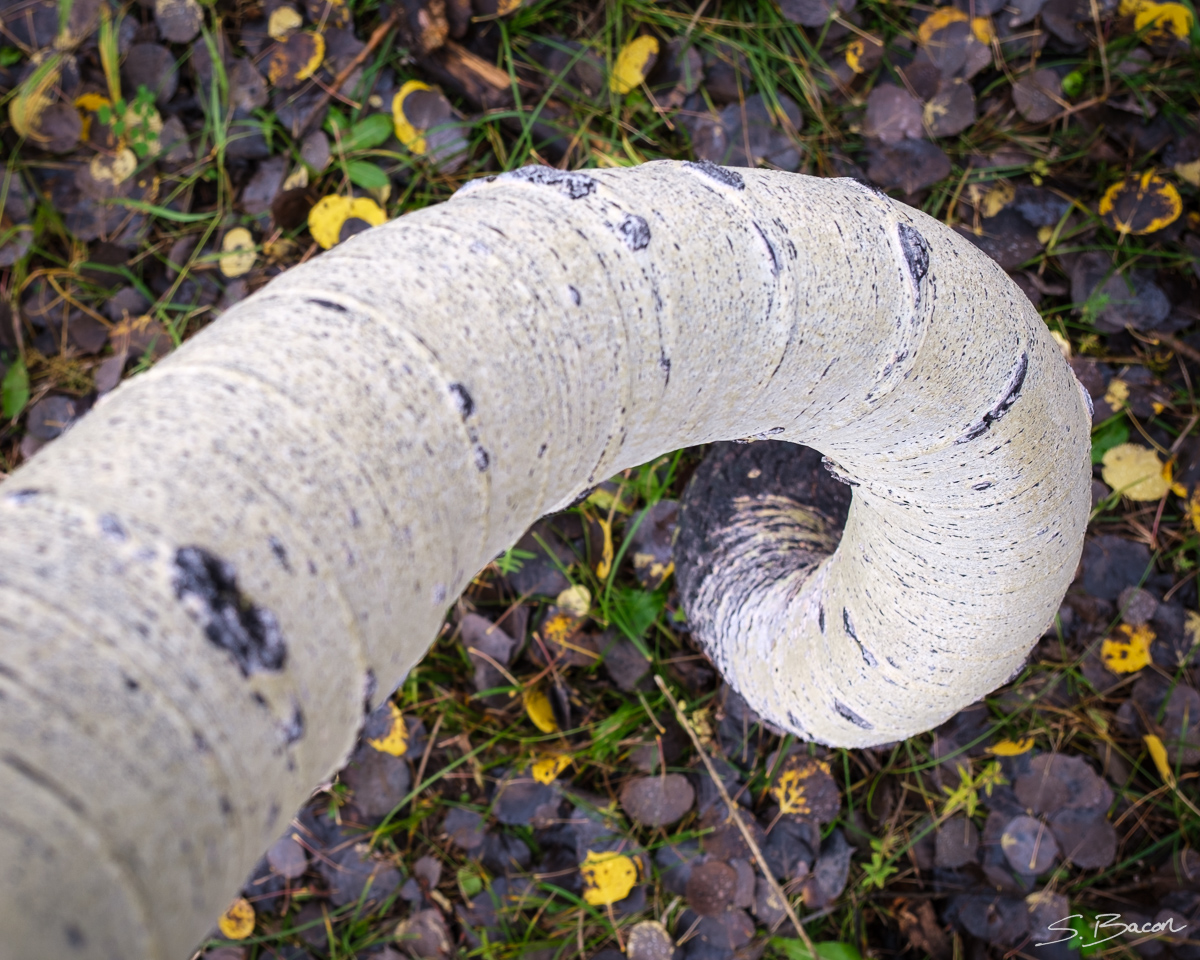 Looking Down the Spiral Looking Down the Spiral