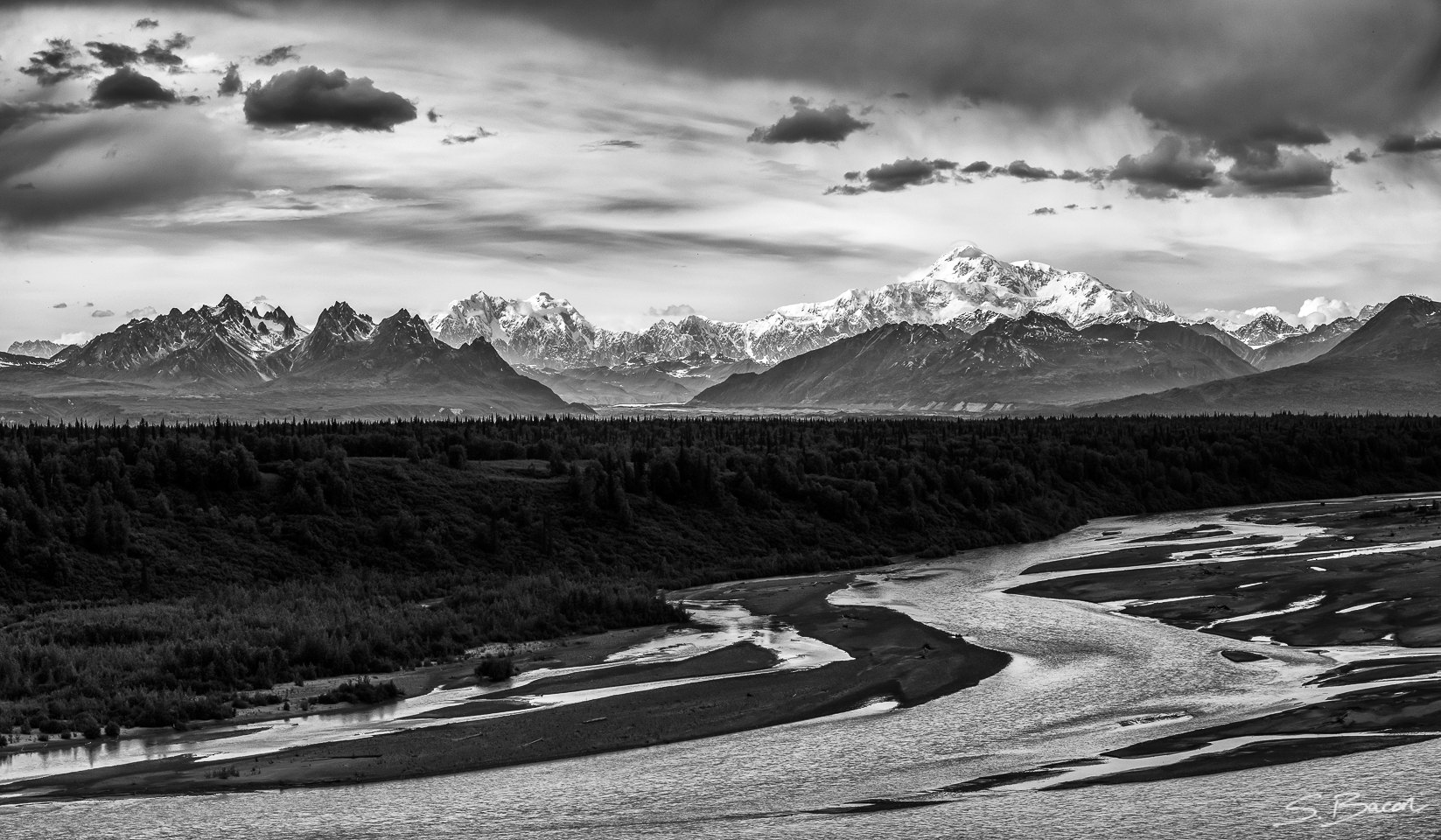 Denali South View