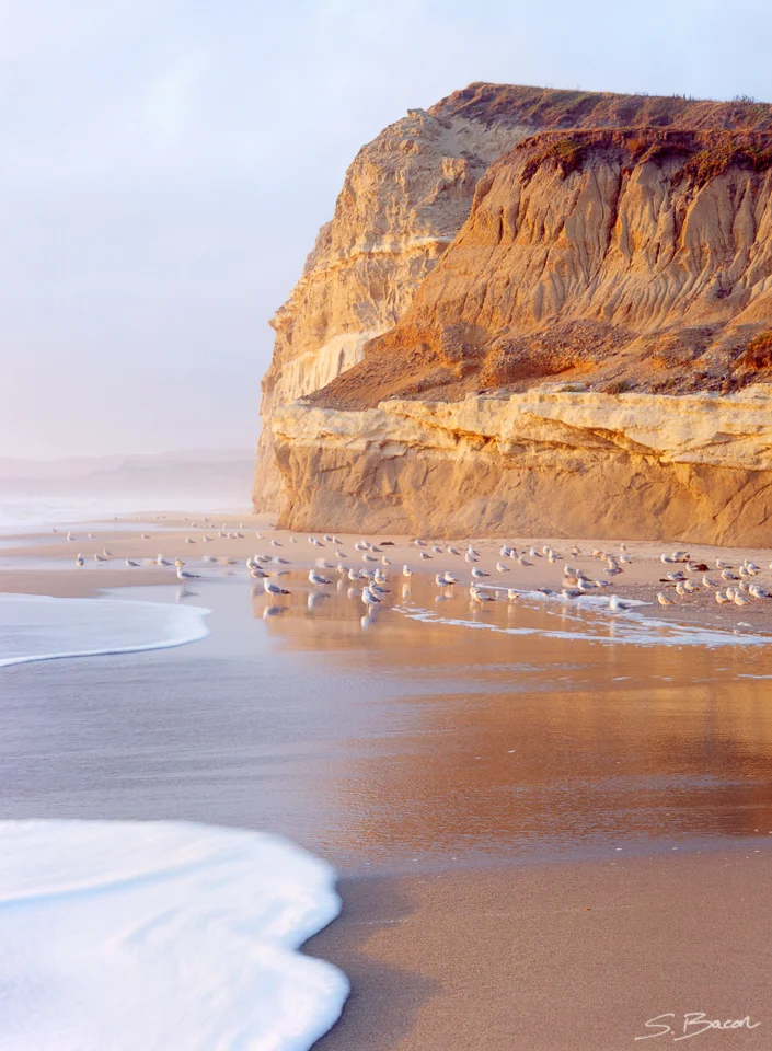 Beach Headlands