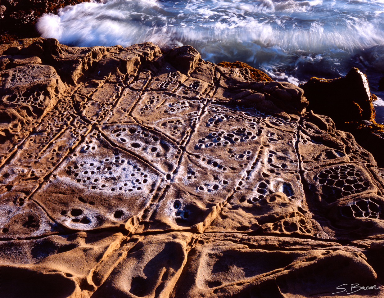 Tafoni Sandstone and Surf