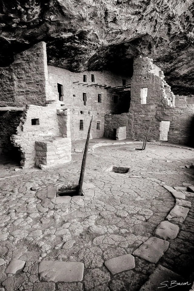 Spruce Tree House I