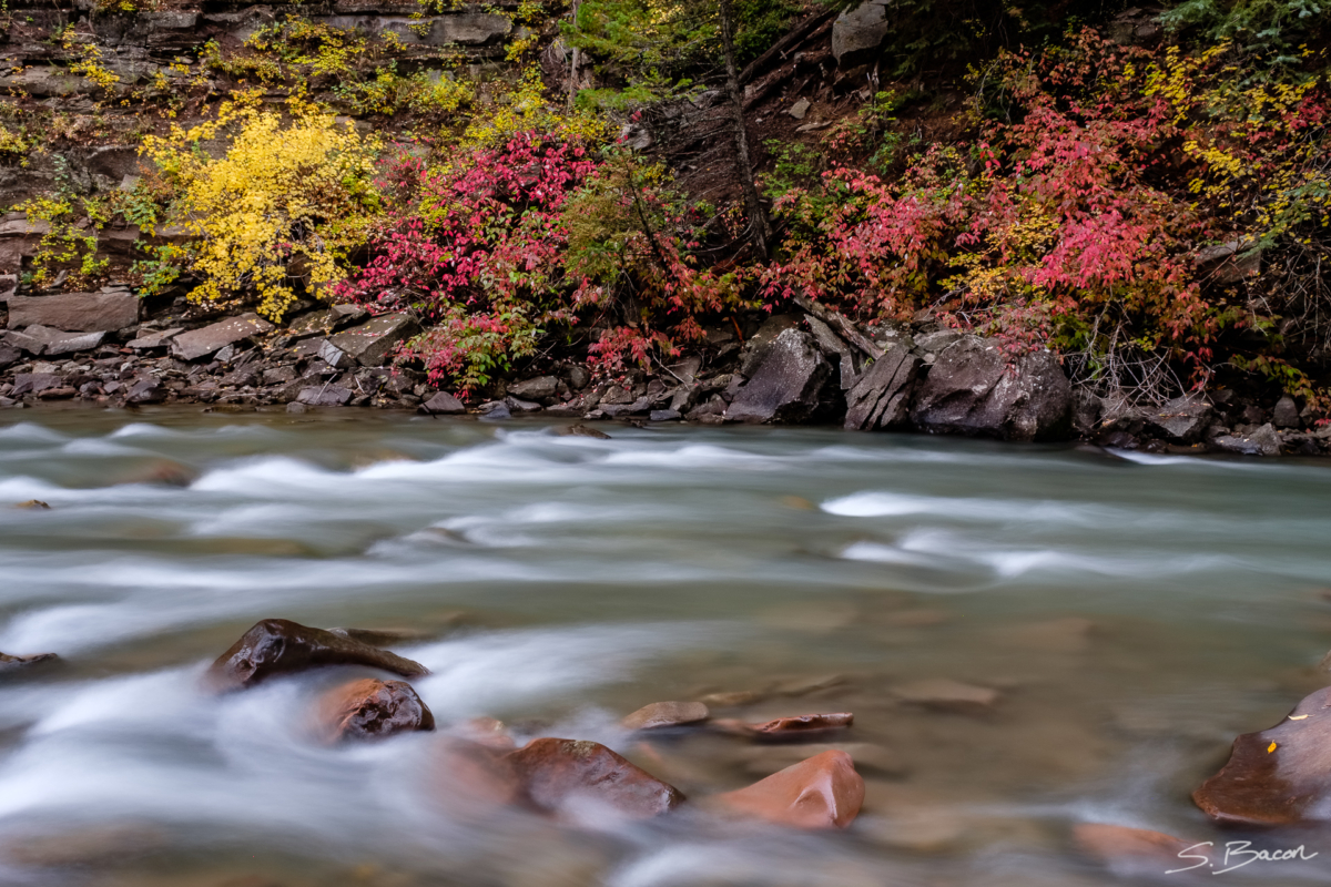 Crystal River Colors Crystal River Colors