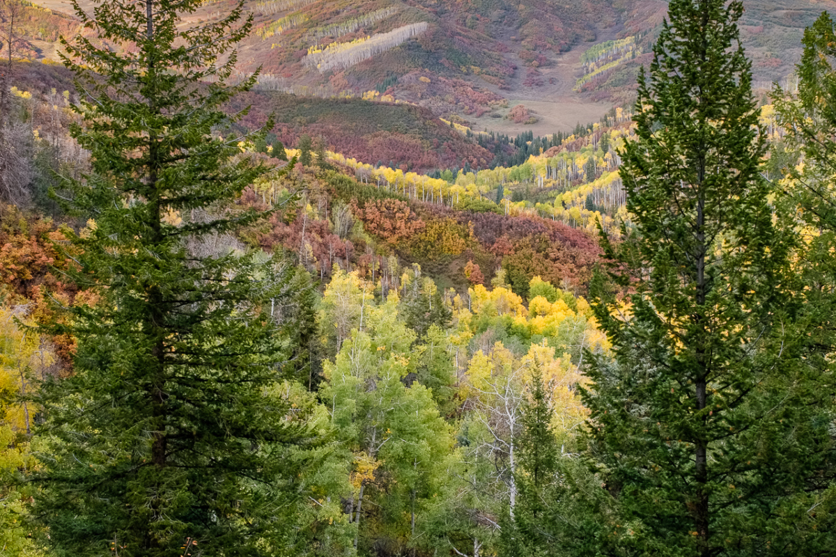 Autumn Layers Autumn Layers