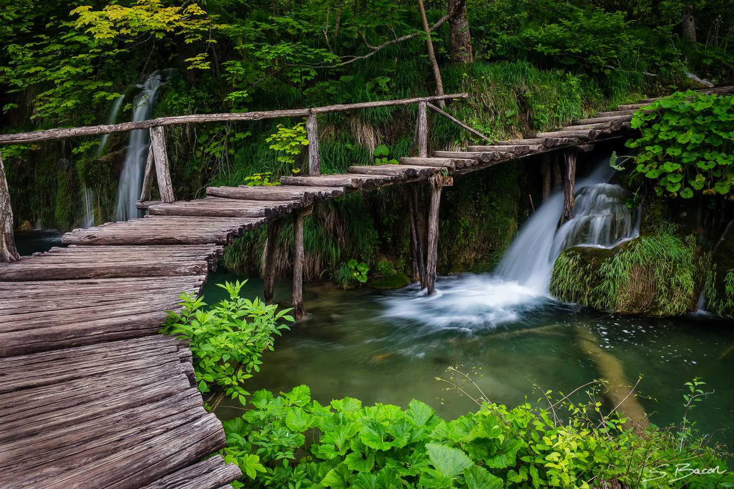 Milino Jezero Boardwalk