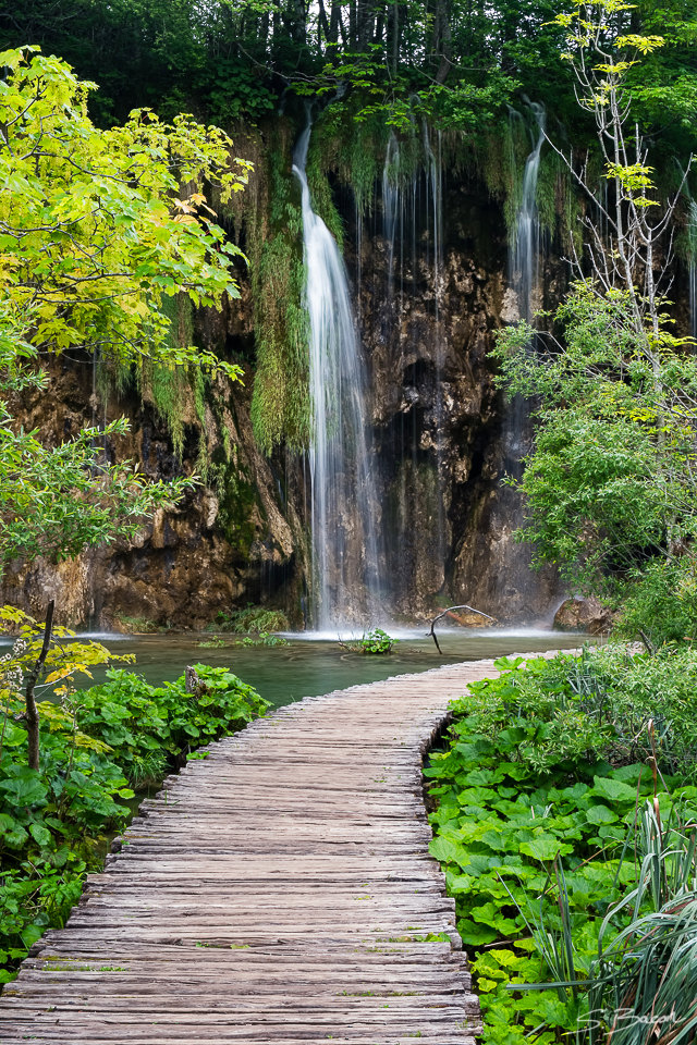Galovacki Buk Boardwalk