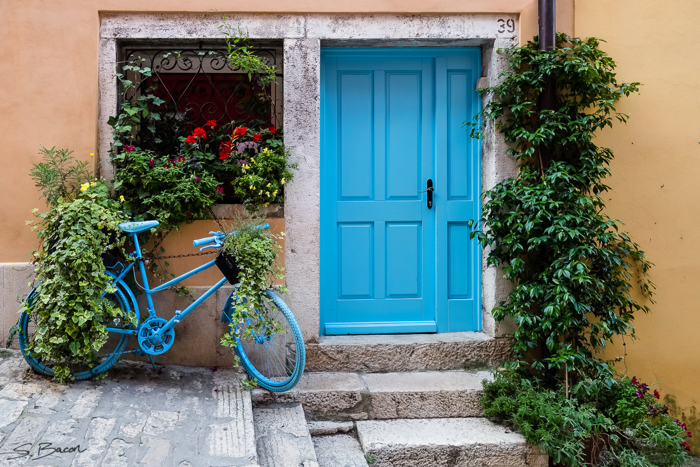 Blue Bicycle &amp; Door