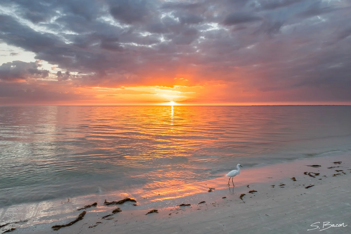 Florida Sunset