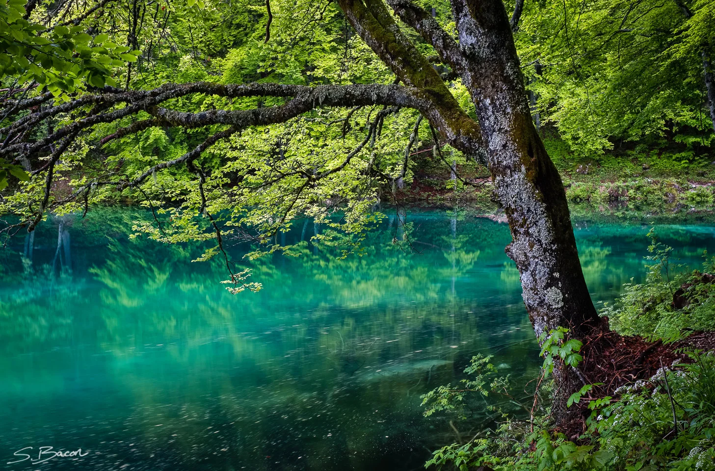 Lago di Fusine
