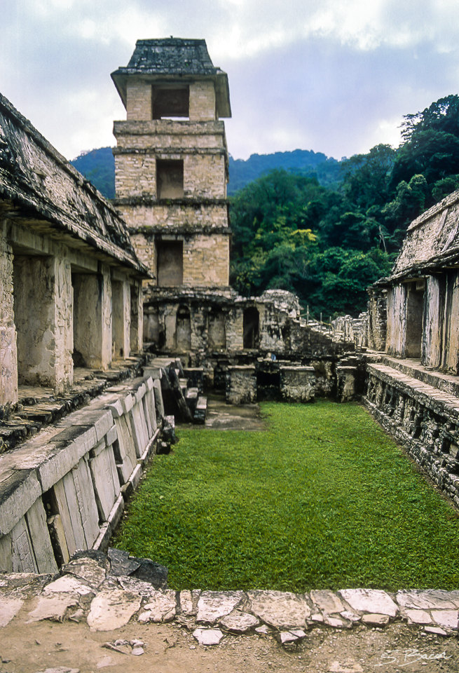 The Observation Tower