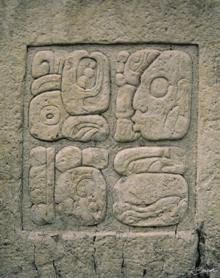 Mayan Relief