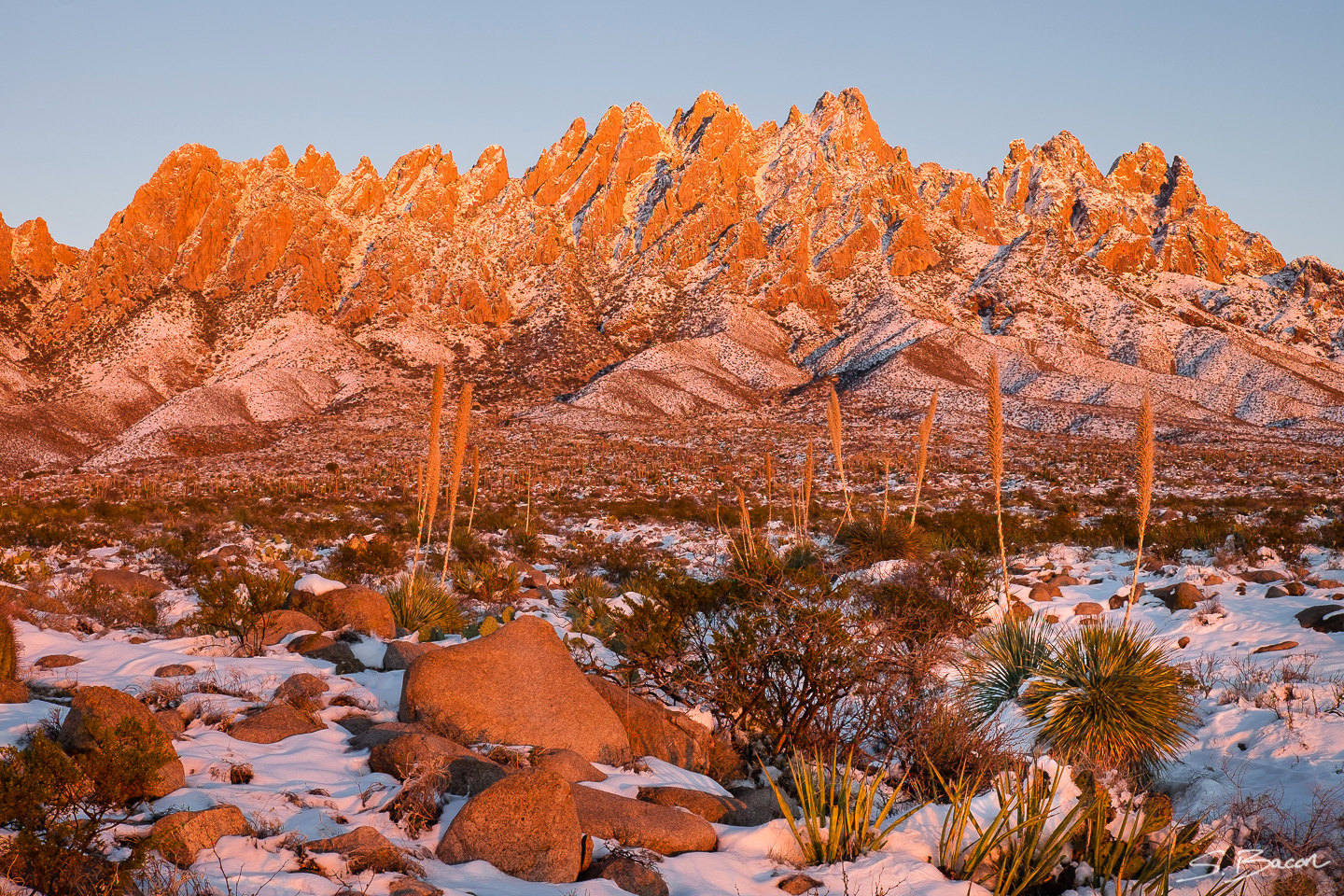 Organ Mountains Snow