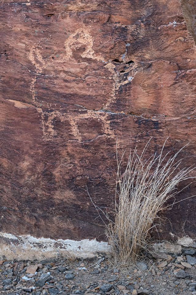 Turtle Petroglyph
