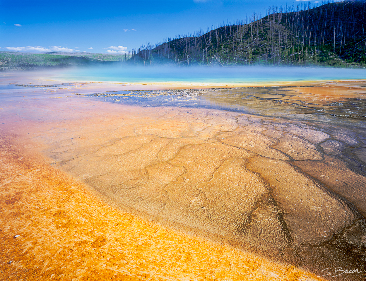 Grand Prismatic Spring