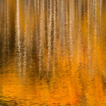 Shimmer