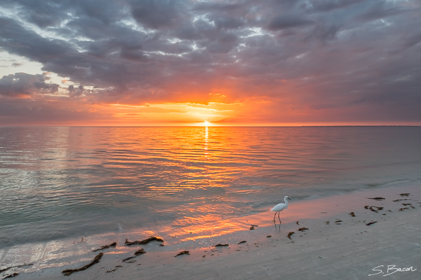 Florida - Gallery of Images