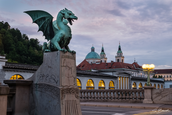 Travel - Gallery of Portfolio Images