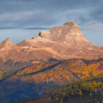 Uncompahgre Morning Light - Uncompahgre National Forest, Colorado