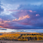 Sunset Over Distant Aspen - Gunnison National Forest, Colorado